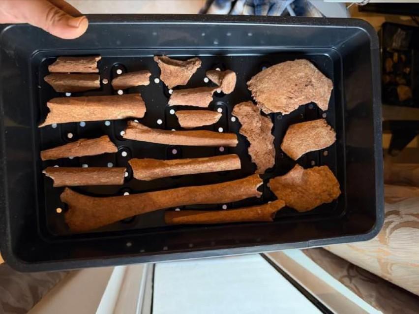 The findings predate the building of the neolithic temples.