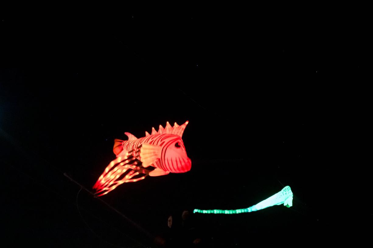È un pesce? No, è un aquilone!