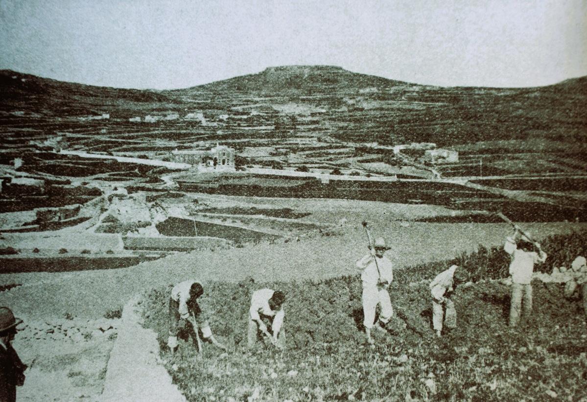 Contadini al lavoro