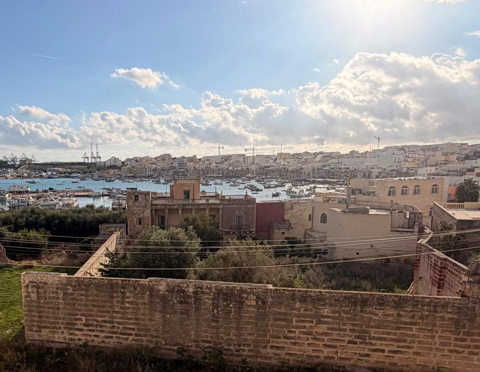Vista del giardino e della villa dal retro, con gli alberi per cui le ONG sono preoccupate. Foto: Marsaxlokk Heritage